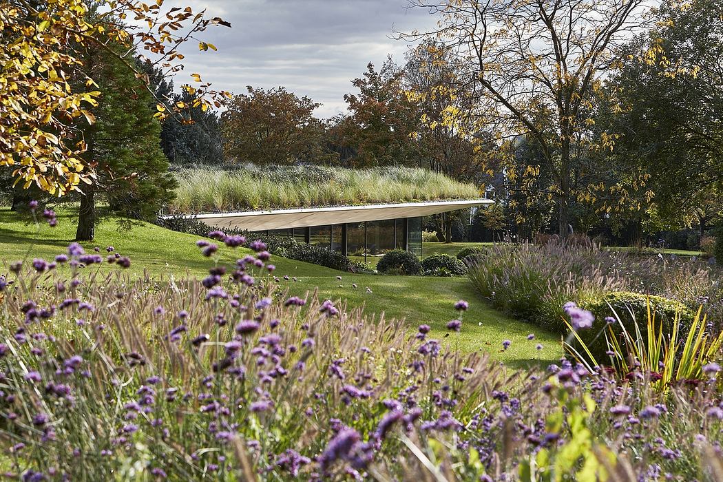 Modern pavilion with green roof amidst garden with purple flowers.