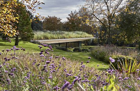 Modern pavilion with green roof amidst garden with purple flowers.