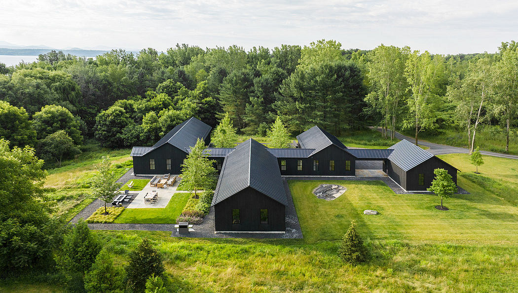 Aerial view of modern black houses with pitched roofs in a green landscape.