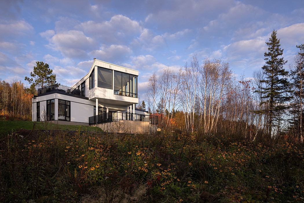 Contemporary house with large windows nestled in a woodland clearing.