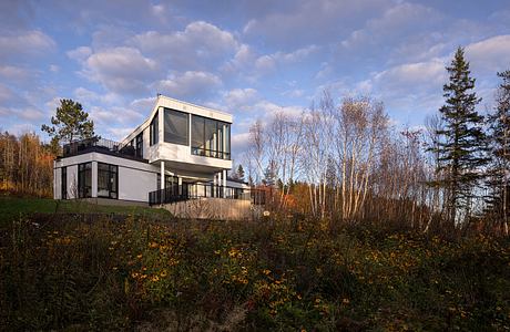 Contemporary house with large windows nestled in a woodland clearing.