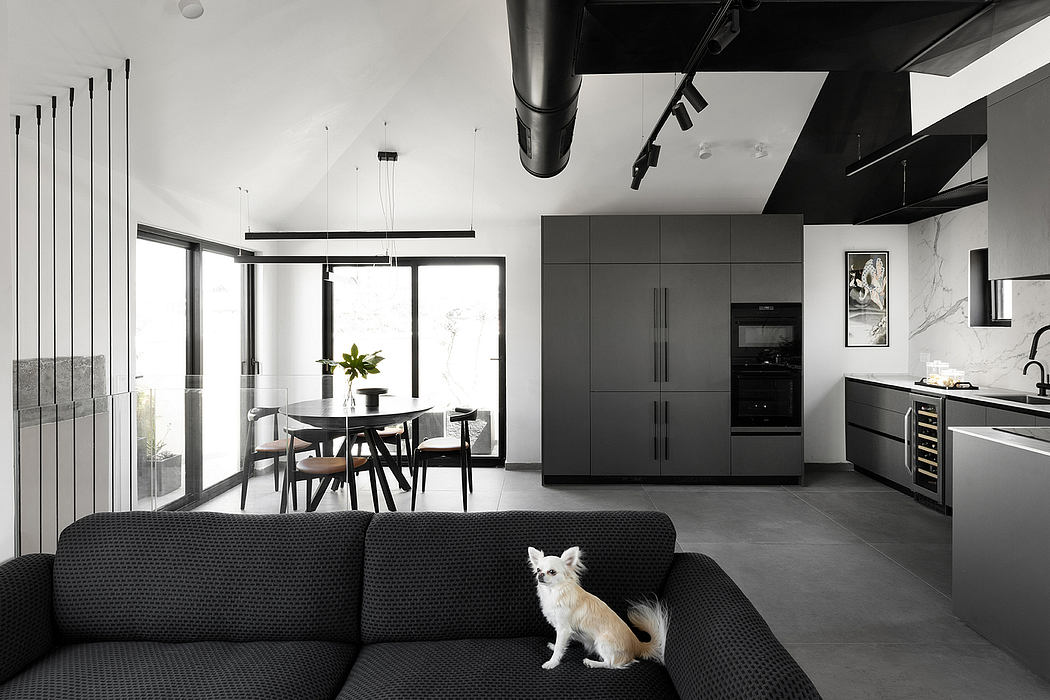 Sleek monochromatic living space with a dog on the sofa.