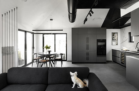 Sleek monochromatic living space with a dog on the sofa.