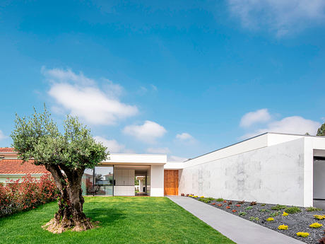 Modern house with large garden and clear blue sky.