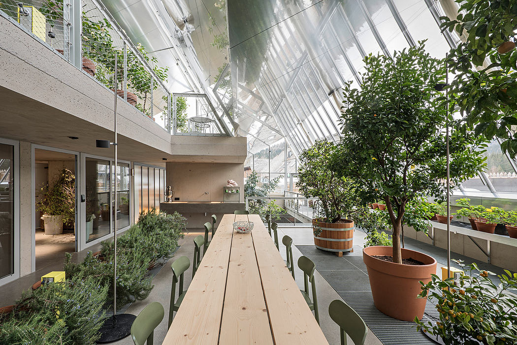 Modern greenhouse interior with a long wooden table and plants.