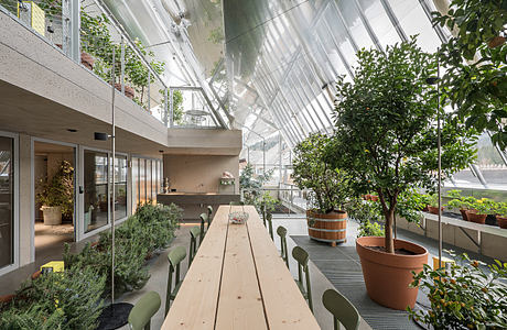 Modern greenhouse interior with a long wooden table and plants.