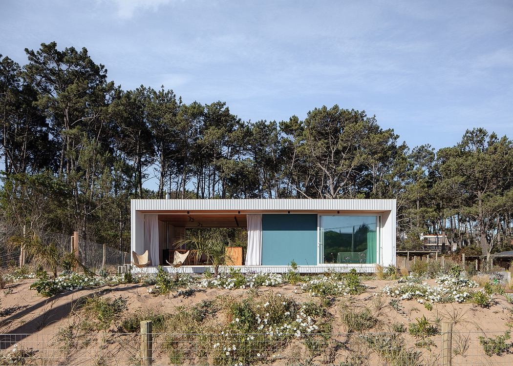 Modern beach house with large windows surrounded by sand and trees.