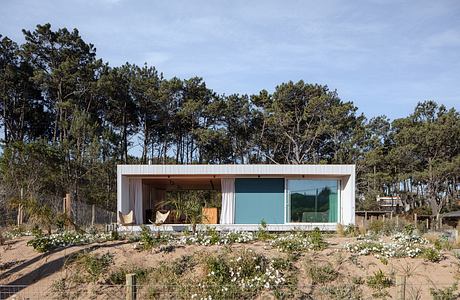 Modern beach house with large windows surrounded by sand and trees.