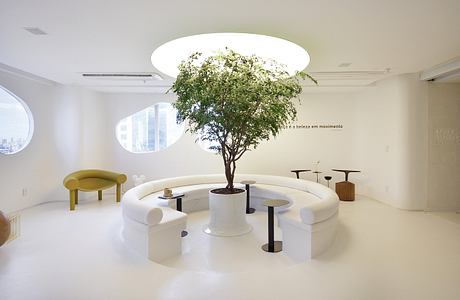 Sleek, minimalist lounge with a verdant tree as the centerpiece, surrounded by curved white seating.