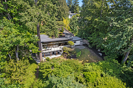 A modern home nestled in a lush, forested landscape with a sleek, open-concept design.