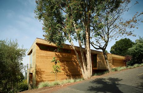 Modern wood-paneled home nestled among lush trees and vegetation, with clean architectural lines.