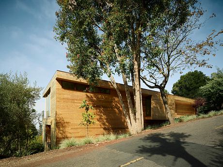 Modern wood-paneled home nestled among lush trees and vegetation, with clean architectural lines.