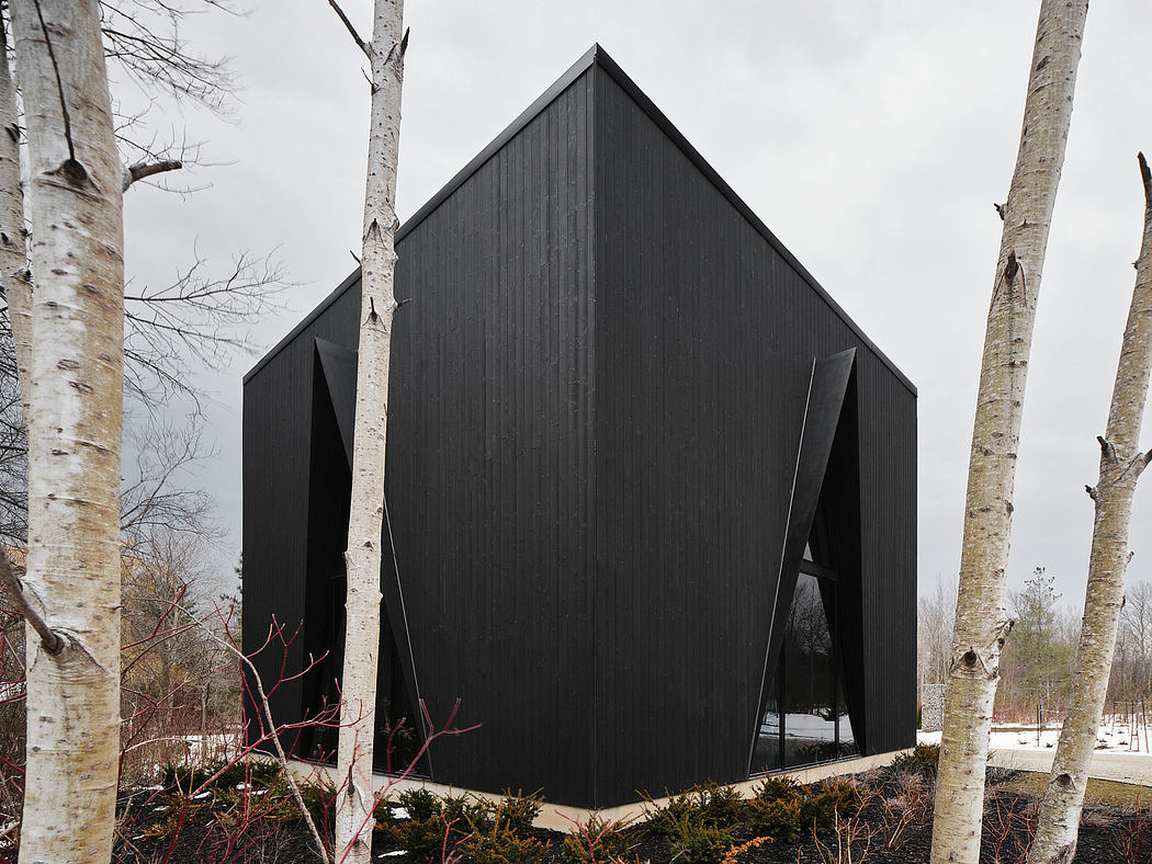 A modern dark-colored triangular structure nestled among birch trees.