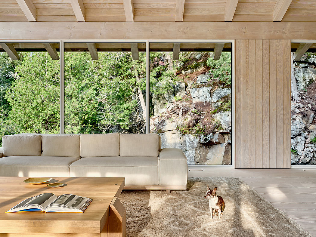 Minimalist wood-and-glass cabin with large windows framing lush forest views.