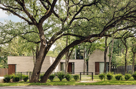 A modern, low-profile residential building with a large, leafy oak tree in the foreground.