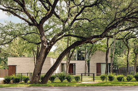 A modern, low-profile residential building with a large, leafy oak tree in the foreground.