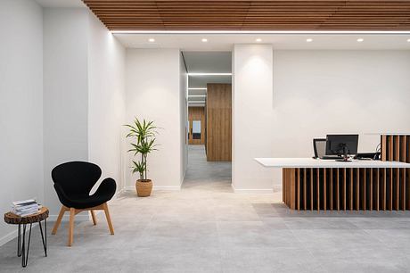 Minimalist, modern workspace with sleek wooden accents, potted plant, and stylish black chair.