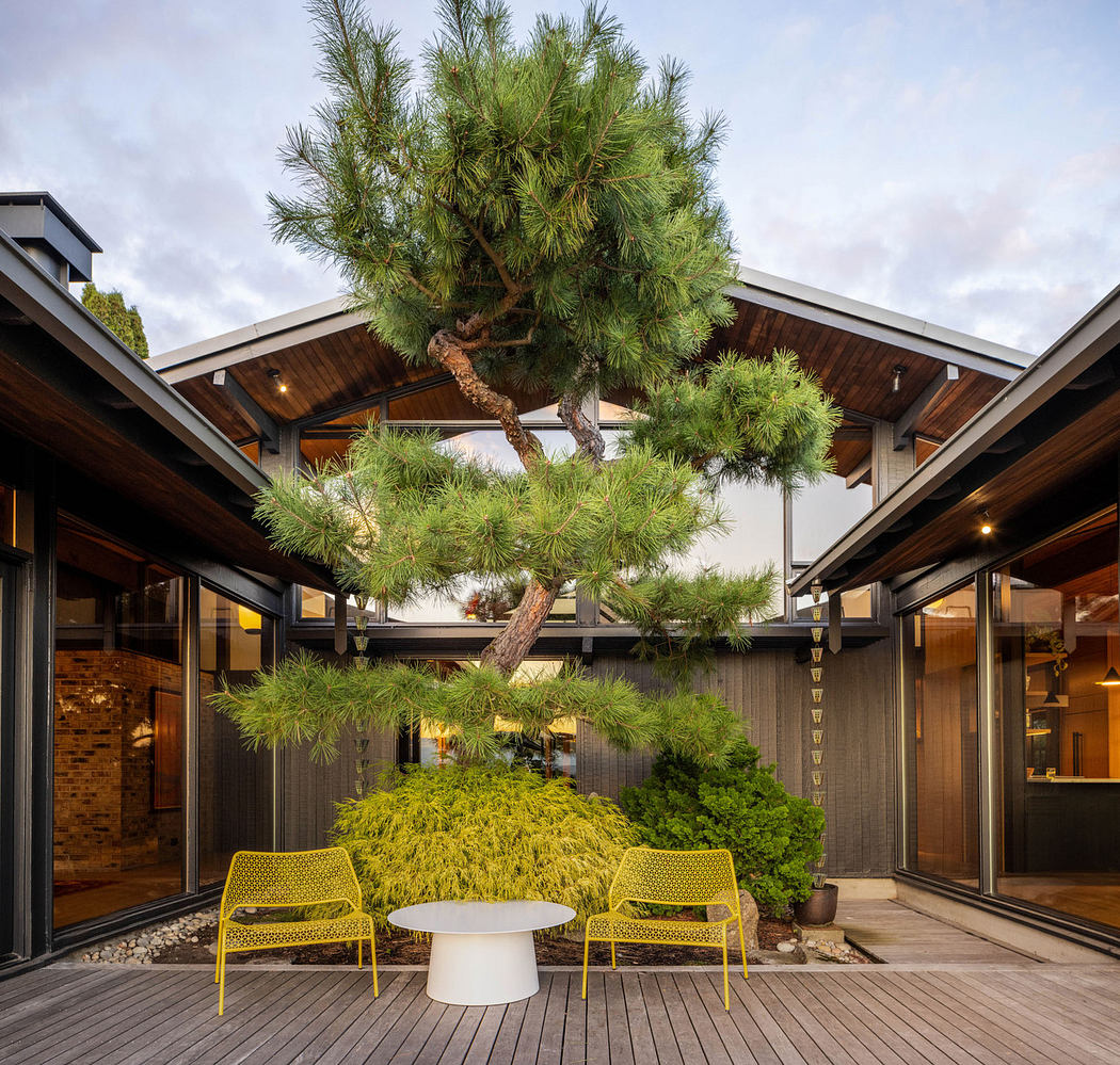 Modernist architecture with a striking landscape design, featuring a large pine tree and vibrant yellow seating.