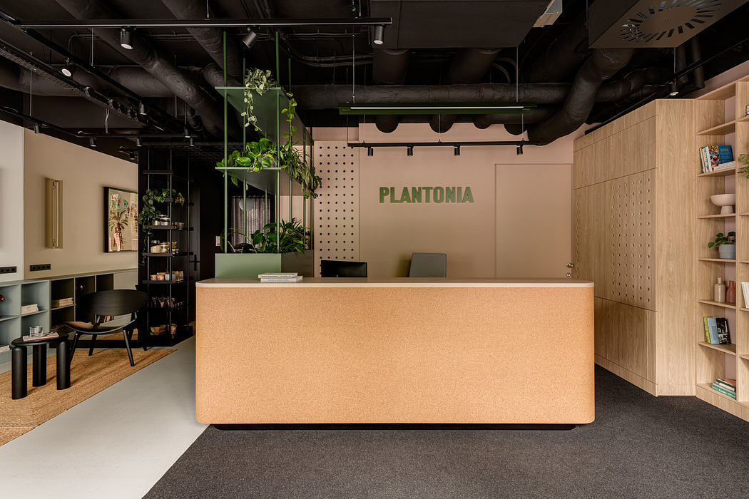 Minimalist office with cork reception desk, suspended plants, and open shelving.