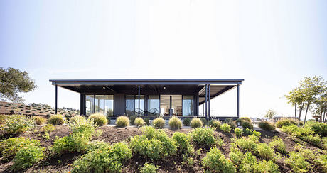 Contemporary single-story home with expansive glass walls, covered deck, and lush landscaping.