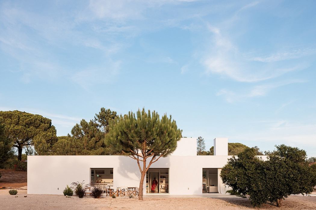 A modern, minimalist white building with large windows framed by lush trees and shrubs.