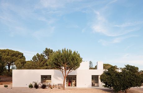 A modern, minimalist white building with large windows framed by lush trees and shrubs.