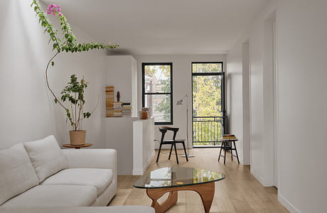 Minimalist living room with glass coffee table, plant accent, and modern furnishings.