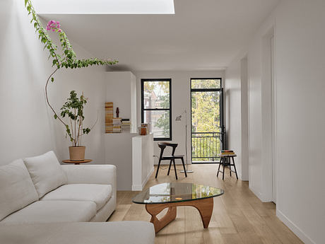 Minimalist living room with glass coffee table, plant accent, and modern furnishings.