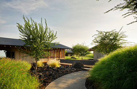 Serene Japanese-inspired garden pathway leading to modern wooden structures with lush greenery.