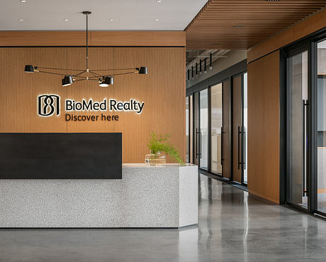 A modern office interior with wooden paneled walls, glass doors, and a stylish light fixture.