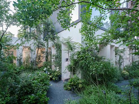 A serene, verdant garden pathway leading to a modern, minimalist building surrounded by lush foliage.