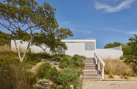 A modern, minimalist-style building with a wooden staircase leading to its entrance, surrounded by lush vegetation.