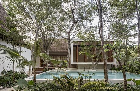 Secluded tropical retreat with modern wooden architecture, pool, and lush greenery.