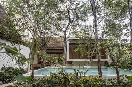 Secluded tropical retreat with modern wooden architecture, pool, and lush greenery.