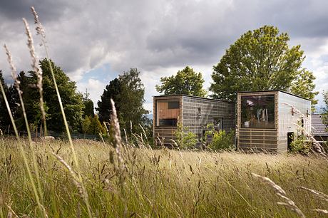 Rustic cabins nestled among lush greenery and tall grasses, reflecting a serene outdoor setting.