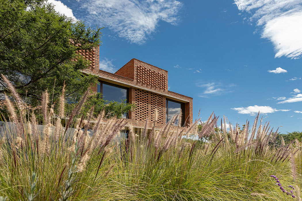 A modern brick building with large windows, surrounded by lush greenery and tall grasses.