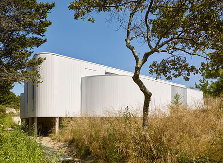 A modern, rectangular white building with a tree growing next to it, set in a natural landscape.