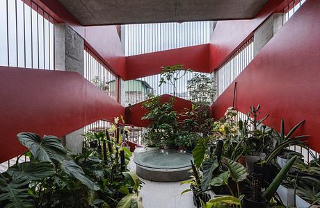 A vibrant indoor garden oasis with lush vegetation and a contemporary architectural design.