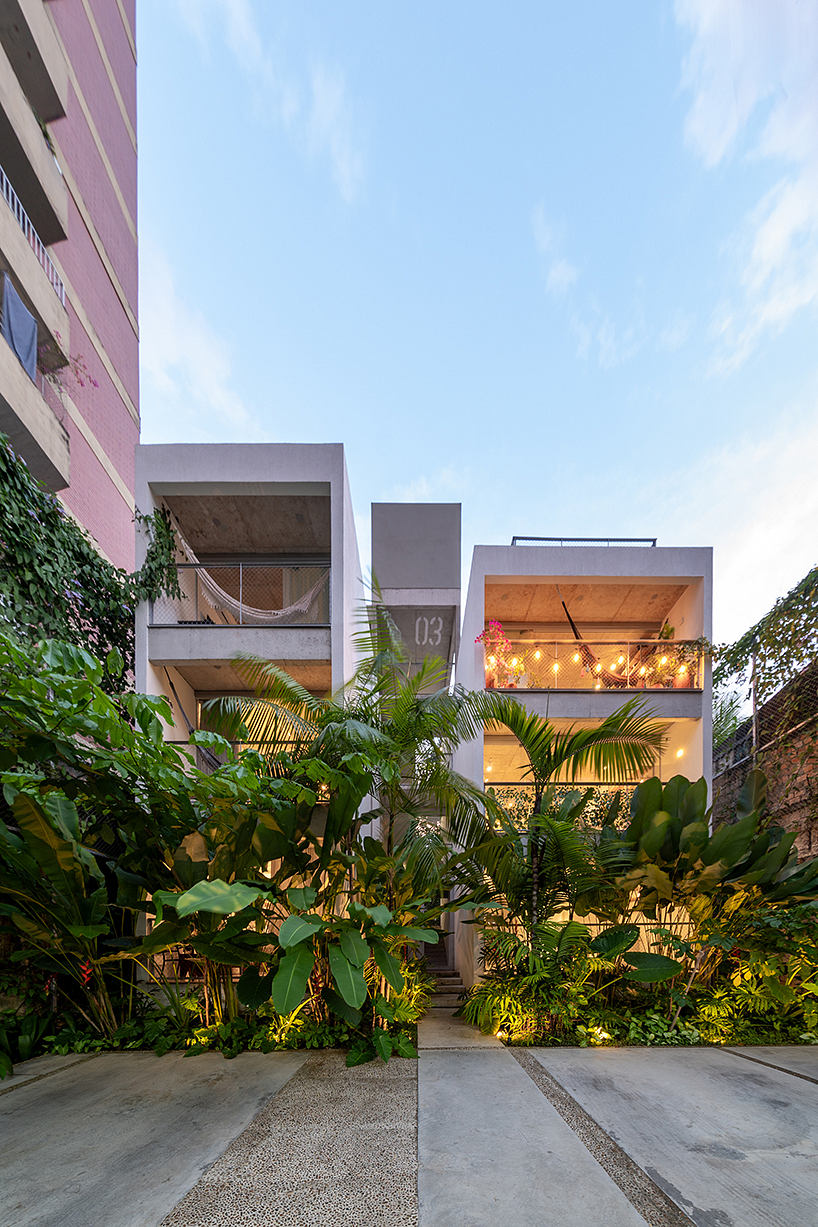 Vibrant tropical foliage frames modern, well-lit apartment buildings with balconies.