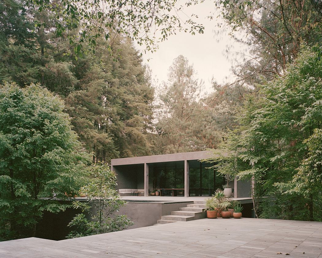 A modern glass-walled structure nestled in a lush forest, with a stone patio and steps.