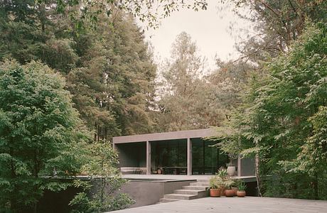 A modern glass-walled structure nestled in a lush forest, with a stone patio and steps.