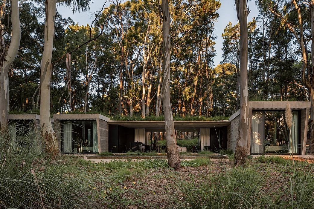 A modernist single-story house set in a forest, with large windows and a covered patio.