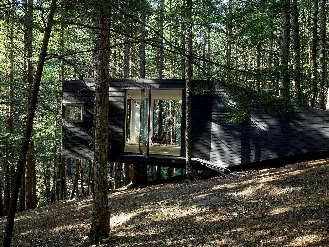 A modern cabin nestled among towering trees, showcasing sleek architectural details.