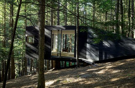 A modern cabin nestled among towering trees, showcasing sleek architectural details.