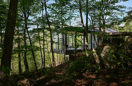 Glass-walled structure nestled in lush, forested surroundings, creating a harmonious blend of nature and architecture.