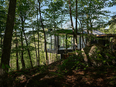 Glass-walled structure nestled in lush, forested surroundings, creating a harmonious blend of nature and architecture.