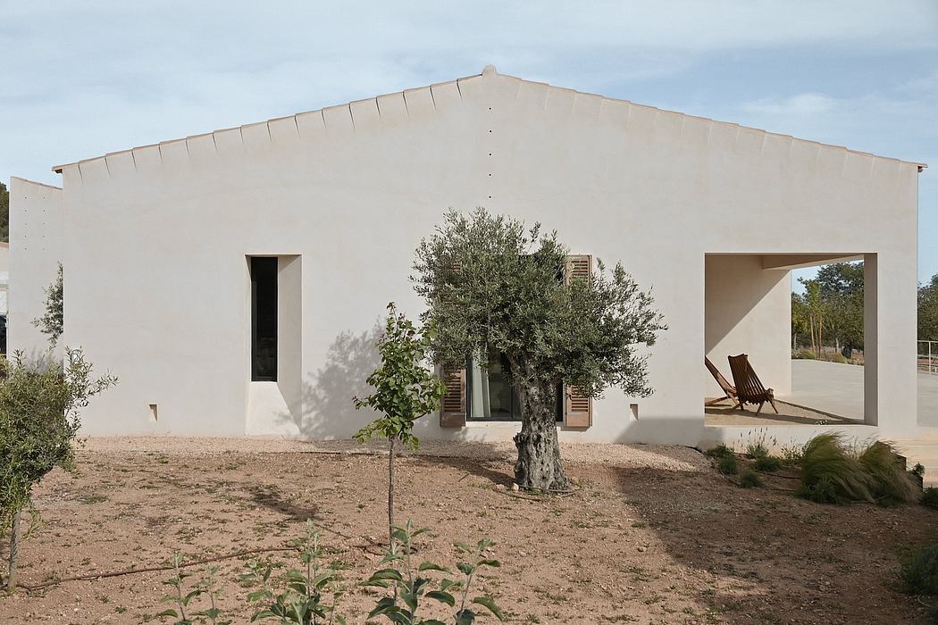 A modern, minimalist house design with clean lines, large windows, and a mature olive tree.