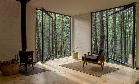 Half-Tree House: Unique Cabin Built Among Trees