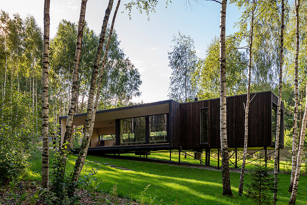 A modern, wooden, elevated cabin surrounded by lush greenery and birch trees.