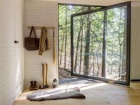 Half-Tree House: Unique Cabin Built Among Trees